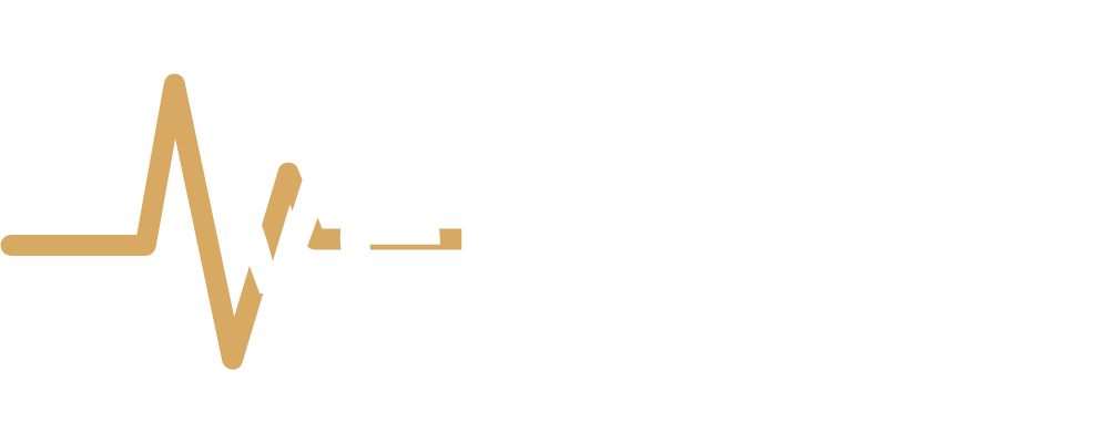 VeriPulse Araştırma Şirketi